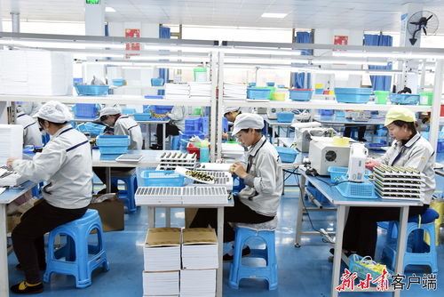 康樂(lè) 東西協(xié)作鄉(xiāng)村就業(yè)工廠節(jié)后復(fù)工生產(chǎn)忙